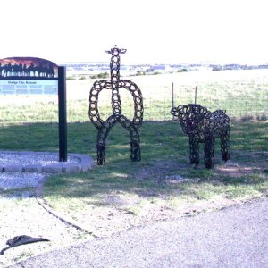 IMAG0006.JPG