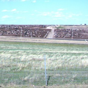 IMAG0008.JPG