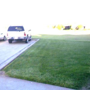 IMAG0009.JPG