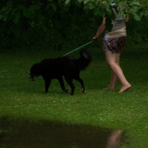 100_1377.JPG