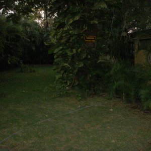 DSCN0036.JPG