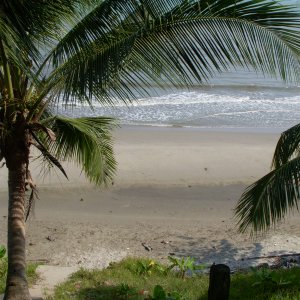DSCN0082.JPG