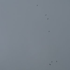 DSCN0123.JPG