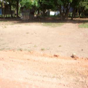 DSCN0131.JPG