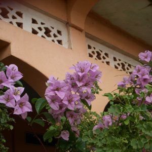 DSCN0146.JPG