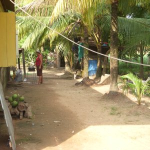 DSCN0148.JPG