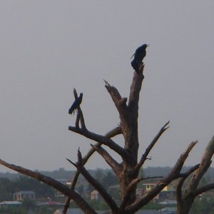 DSCN0190.JPG