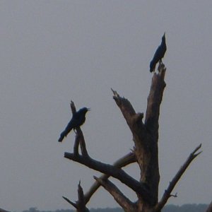 DSCN0191.JPG