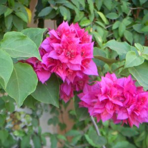 DSCN0282.JPG