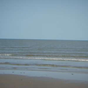 DSCN0289.JPG