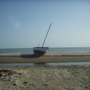 DSCN0290.JPG
