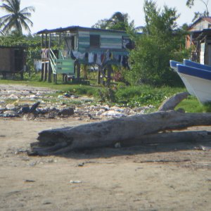 DSCN0299.JPG