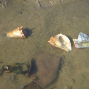 DSCN0300.JPG