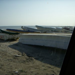 DSCN0303.JPG