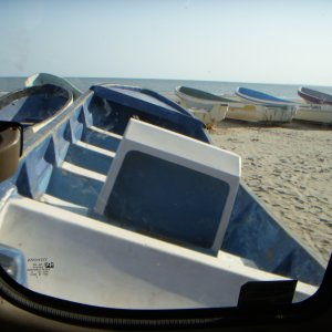 DSCN0304.JPG
