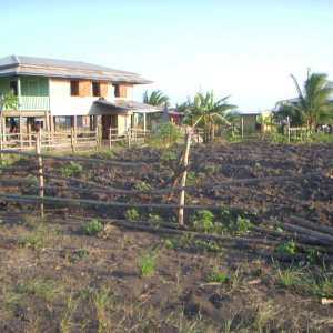 DSCN0314.JPG