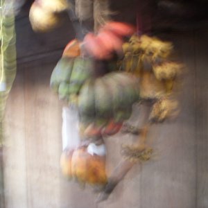 DSCN0333.JPG