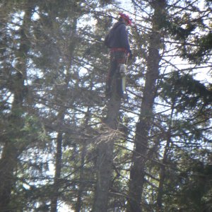 DSCN0363.JPG