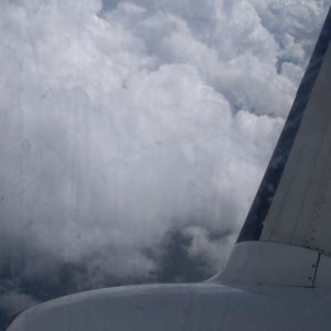 NIC for show 015.jpg