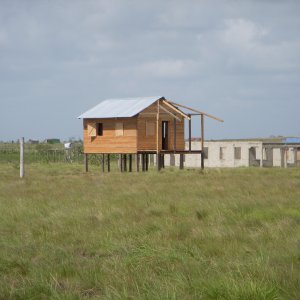 NIC for show 190.jpg