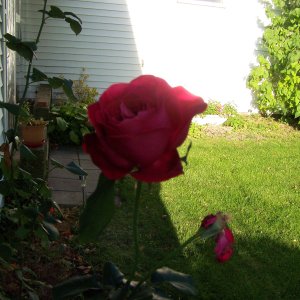 100_1633.JPG
