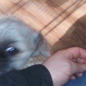 20201227_110621.jpg