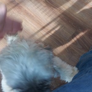 20201227_110624.jpg