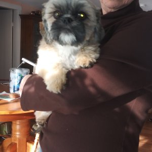 20201227_110816.jpg