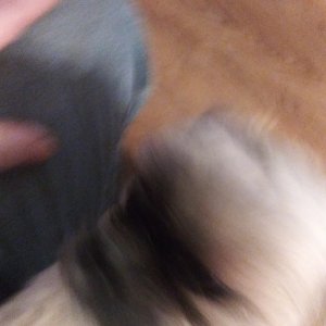 20210109_174523.jpg