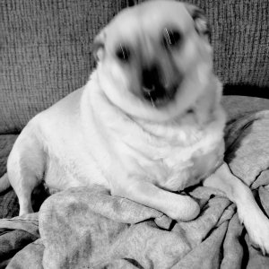 20210227_113709.jpg