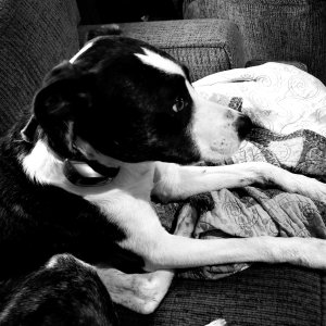 20210227_113923.jpg