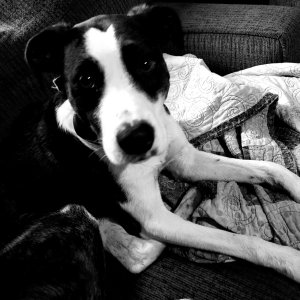 20210227_113928.jpg