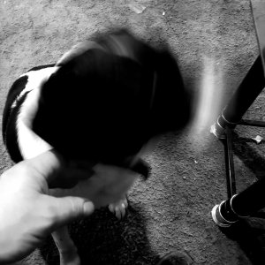 20210227_113954.jpg