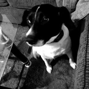 20210227_114010.jpg