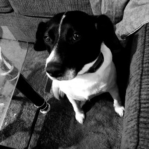 20210227_114013.jpg