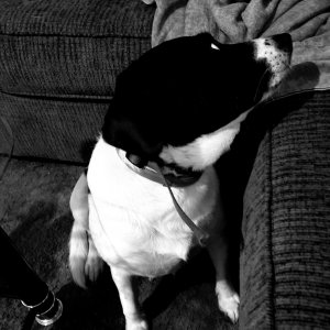 20210227_114017.jpg