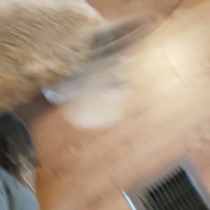 20210315_170537.jpg