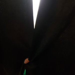 20210317_183459.jpg
