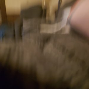 20210702_091158.jpg