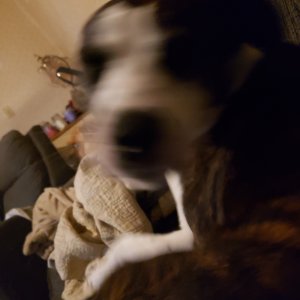 20210922_172548.jpg