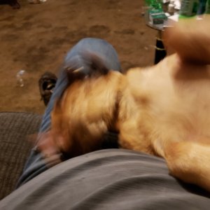 20211020_202219.jpg