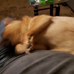 20211020_202351.jpg
