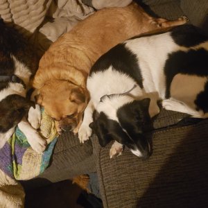 20220116_220401.jpg