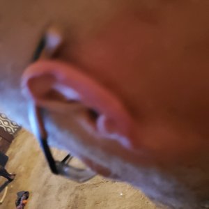 20220316_201232.jpg