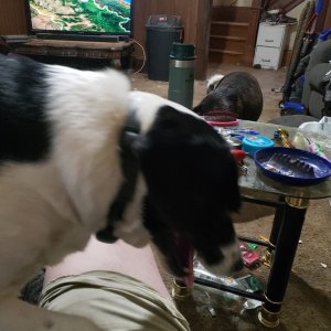 20220514_123649.jpg
