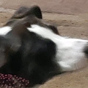 20220514_123658.jpg