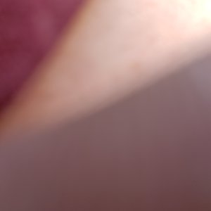20220913_131714.jpg