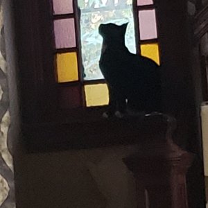 20231013_175921.jpg