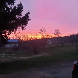 20240322_071341.jpg