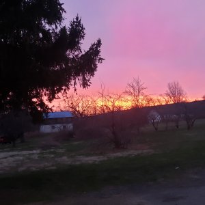 20240322_071345.jpg